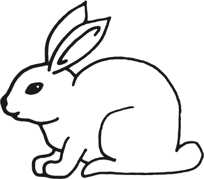 Cruelty Free